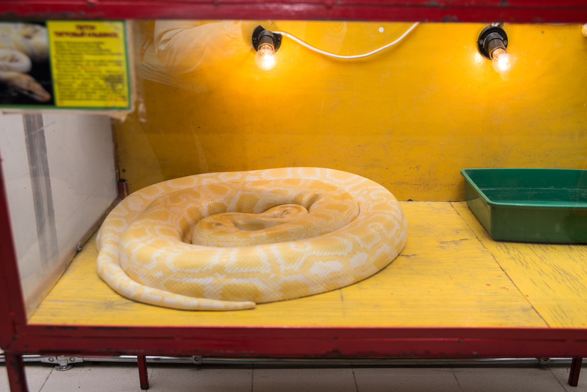 ПАИ ознакомилось с условиями содержания животных в мини-зоопарке в Пскове