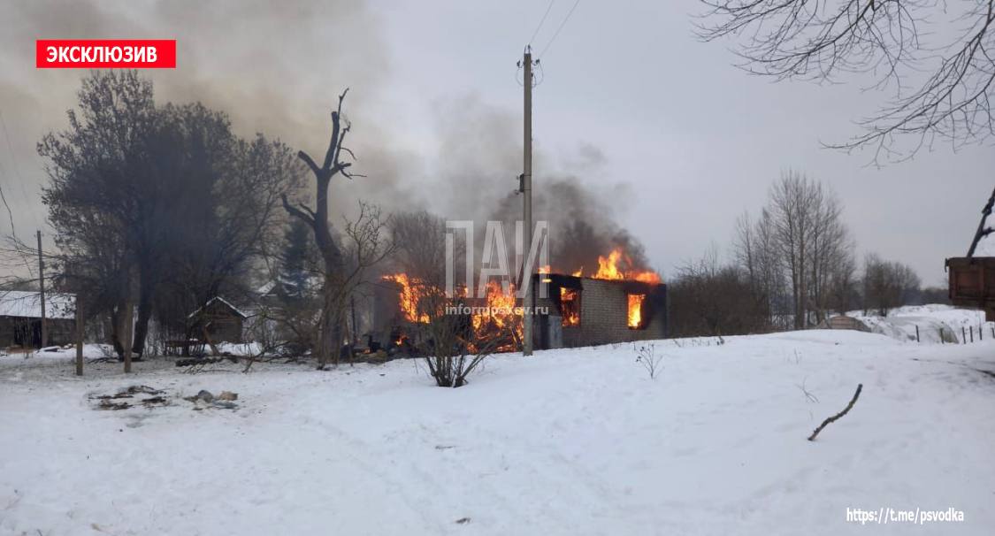 Пожарные спасли хозяйство и животных в Новосокольническом районе 