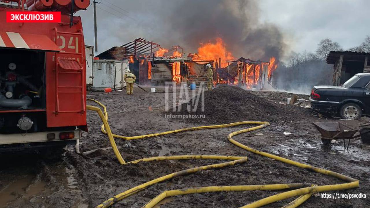 Пожар в Плюсском районе
