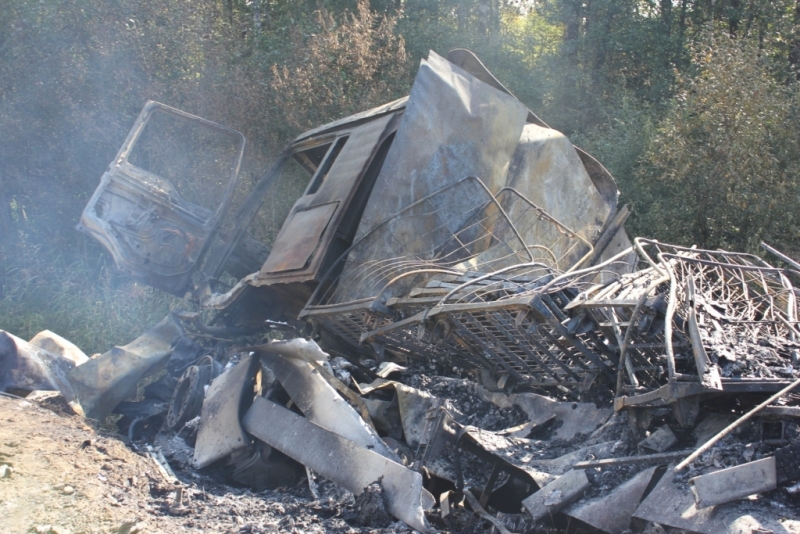 Последствия ДТП под Цапелькой 7.09.2014 - 5 погибших, в том числе 3 детей