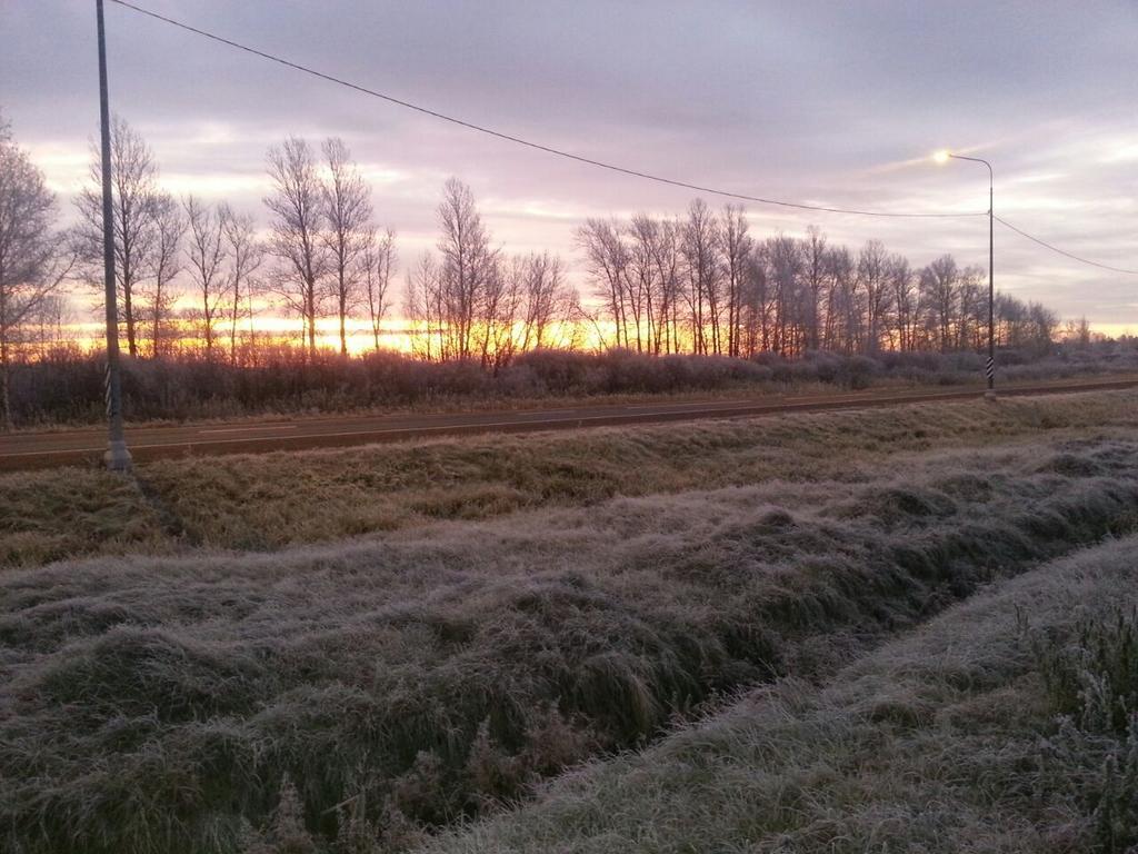 Николай Валуев поработал фоторепортёром в Псковской области