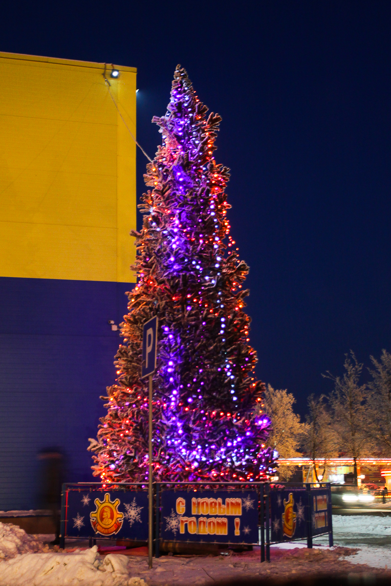 Новогодние елки в Пскове