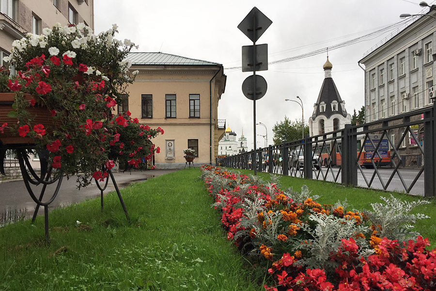 Псковские клумбы