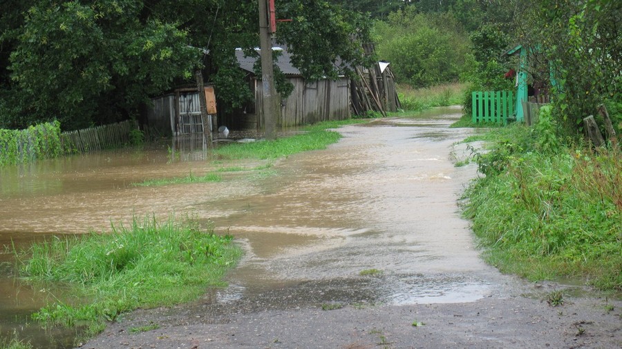 Новоржев