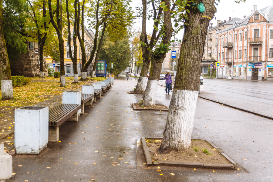 Деревья в квадратном периметре