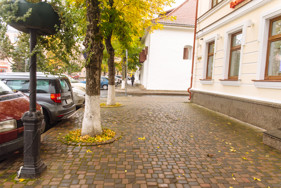 Деревья в круглом периметре