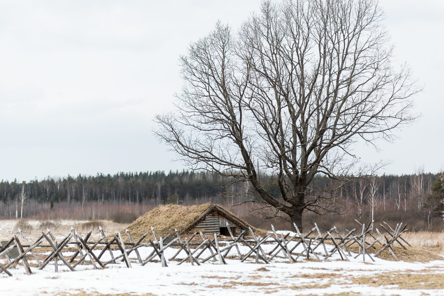 #ЧЕРИТУР: Путешествие № 2: ДОТ