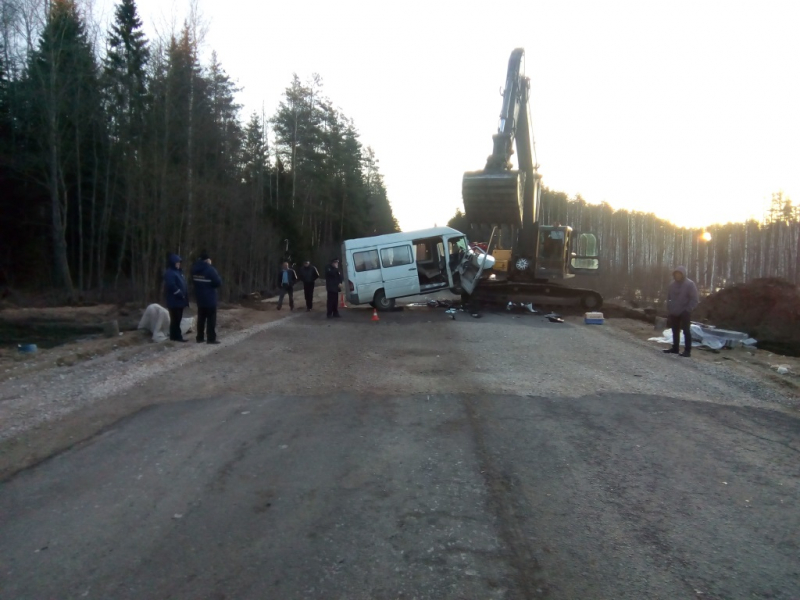 ДТП с микроавтобусом из Белоруссии и экскаватором в Стругокрасненском районе 