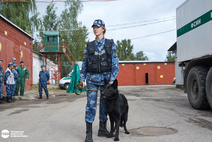 Выборка вещи  