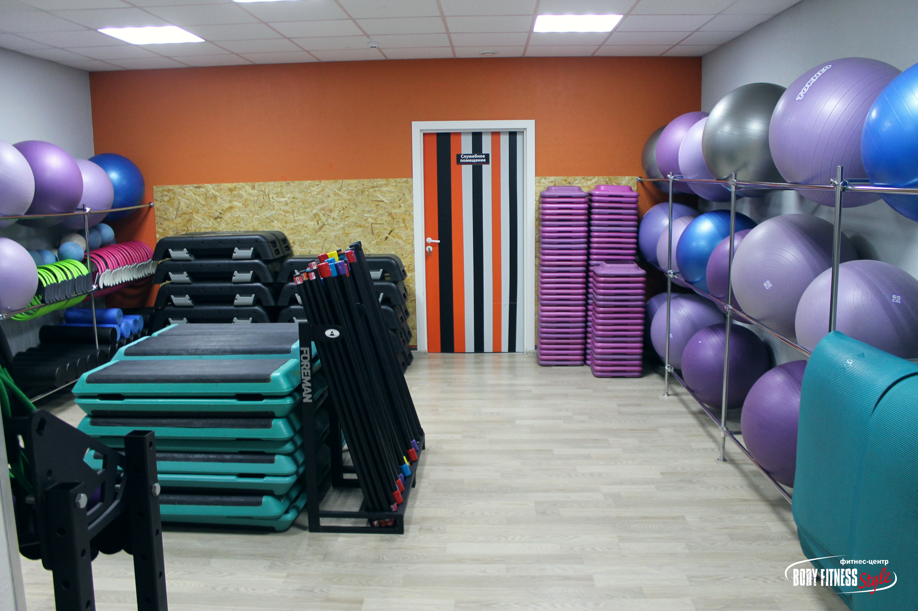 Body Fitness Style