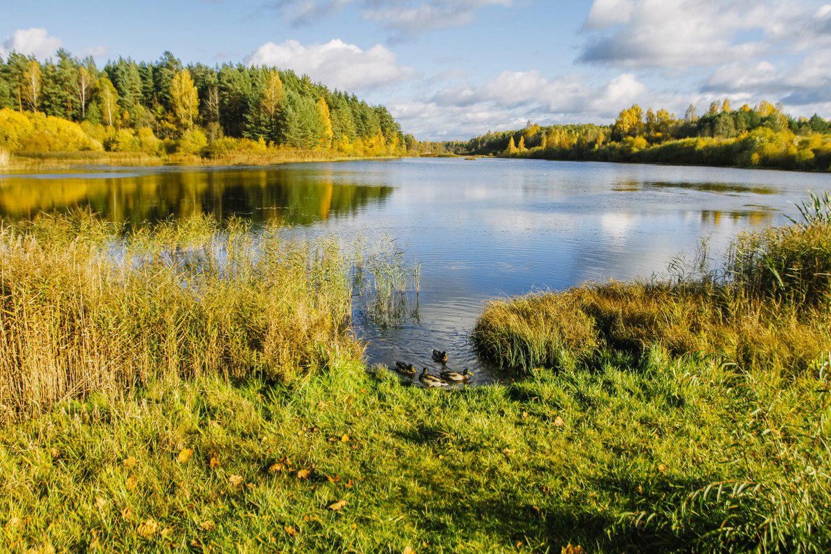 Псковская осень