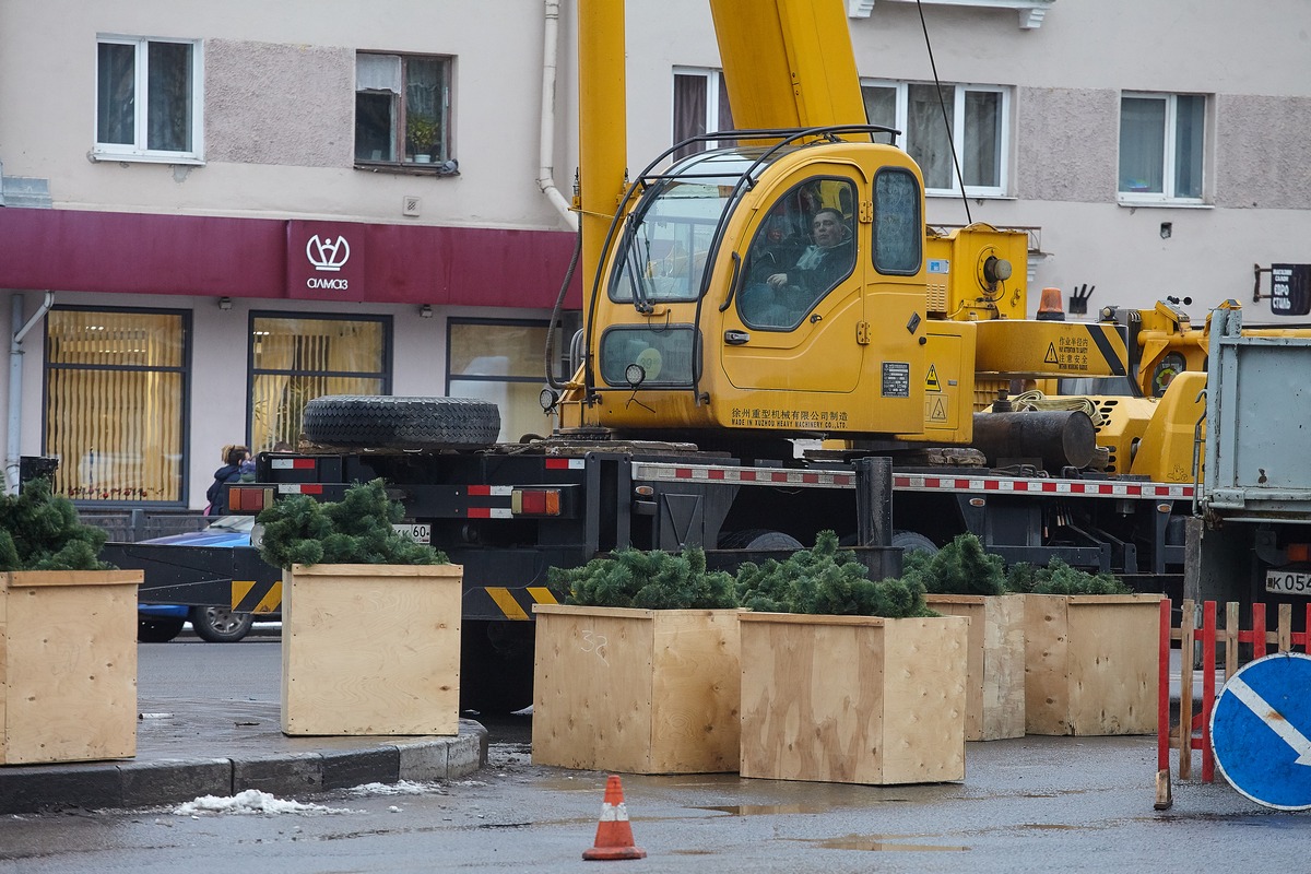 Установка главной новогодней ёлки началась в Пскове