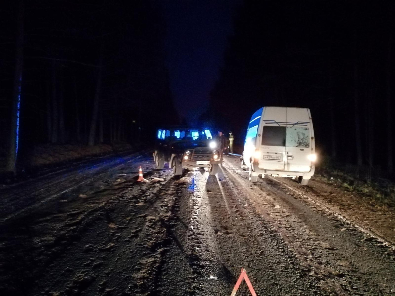 Один человек пострадал при наезде автомобиля на лося в Псковском районе