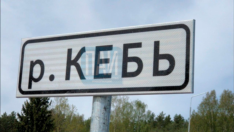 Расширены границы поиска трёхлетней девочки пропавшей под Псковом