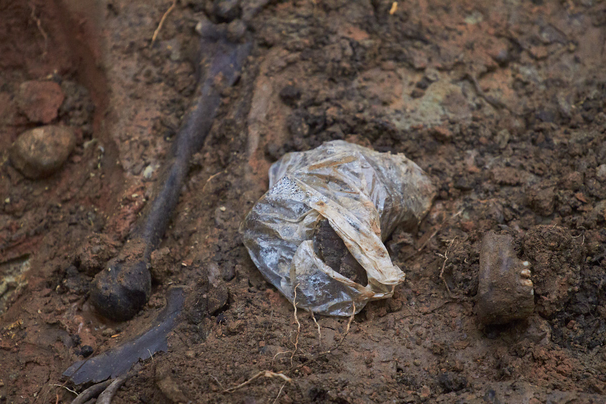 Последние останки подняли из раскопов в Моглино