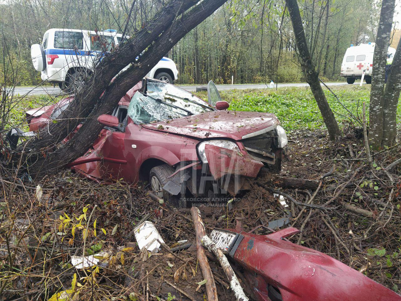 ДТП в Порховском районе