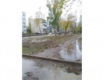 Псковичка пожаловалась на работы по благоустройству газонов 