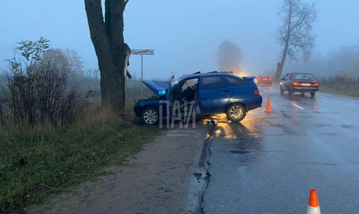 Водитель ВАЗа врезался в дерево на въезде в Писковичи