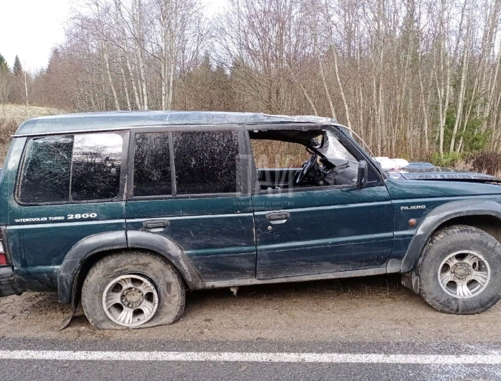 В Стругокрасненском районе перевернулся автомобиль