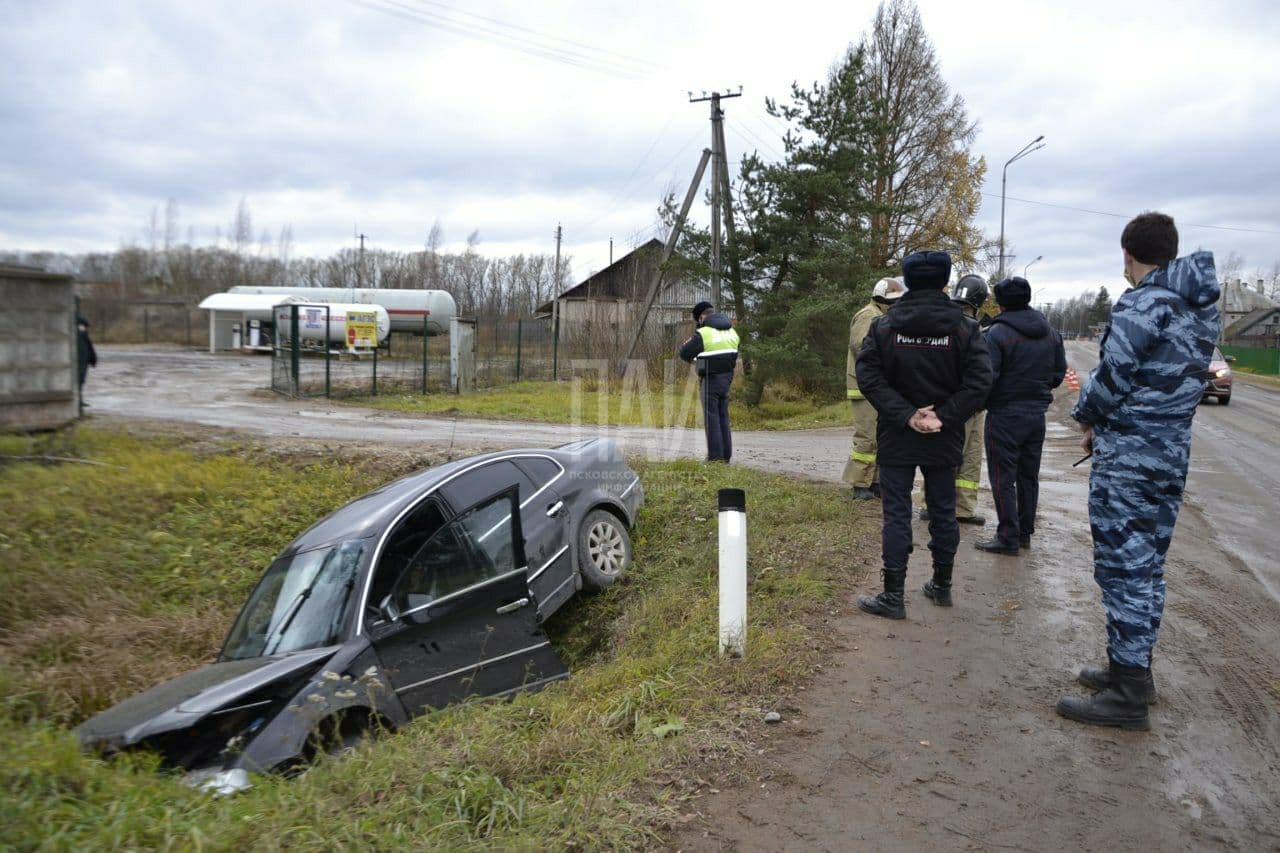 В Дедовичах автомобиль съехал в кювет