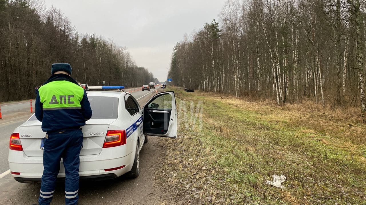 В Псковском районе автомобиль опрокинулся в кювет, пострадал водитель