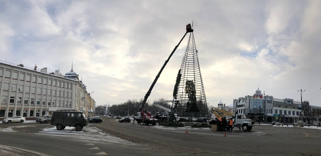 Главная ель Пскова