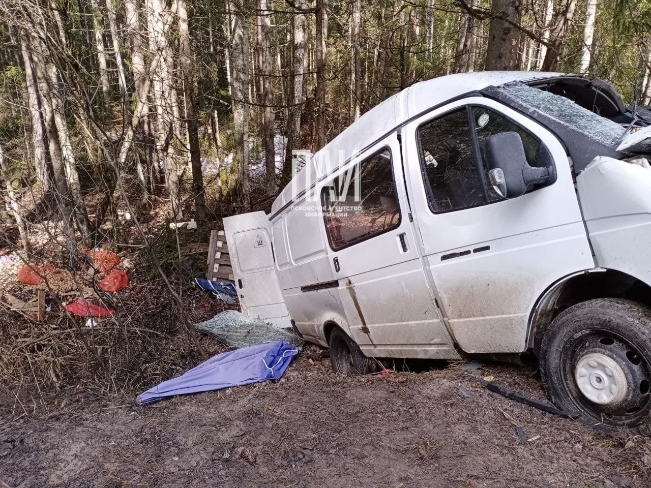 ДТП в Стругокрасненском районе