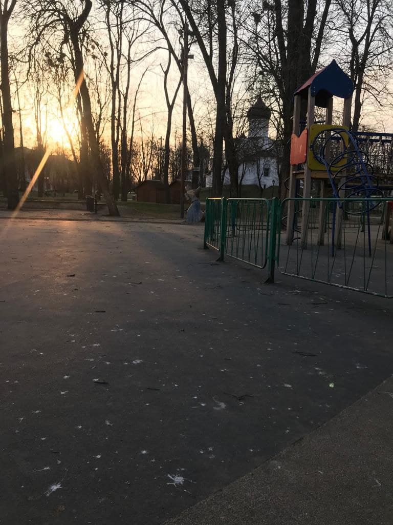 Детский парк тонет в вороньем гуано