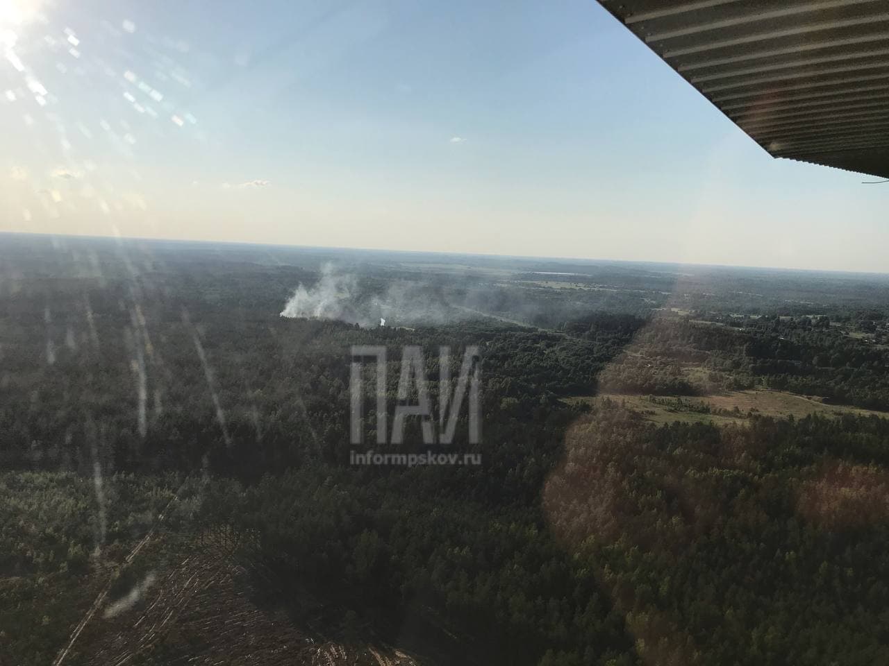 В Опочецком районе горел лес
