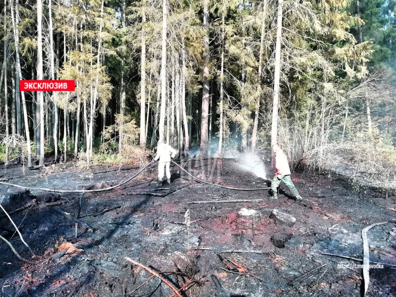 Ликвидация лесного пожара