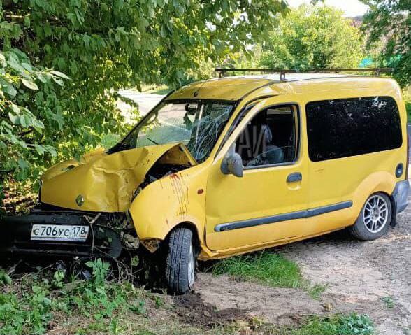 Двое детей пострадали в результате ДТП в Струго-Красненском районе
