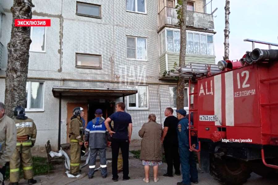 В Дедовичах жильцы одного из домов вызвали все экстренные службы сразу