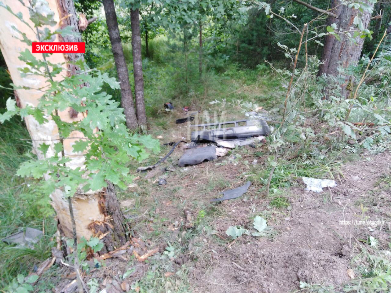 ДТП с пострадавшим в Палкинском районе 