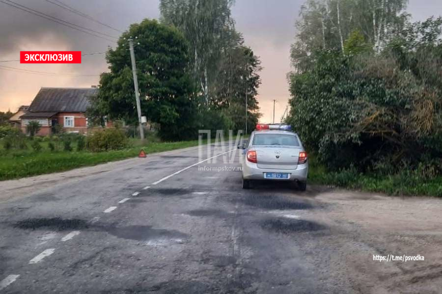 Девочка на велосипеде столкнулась с легковым автомобилем в Порховском районе