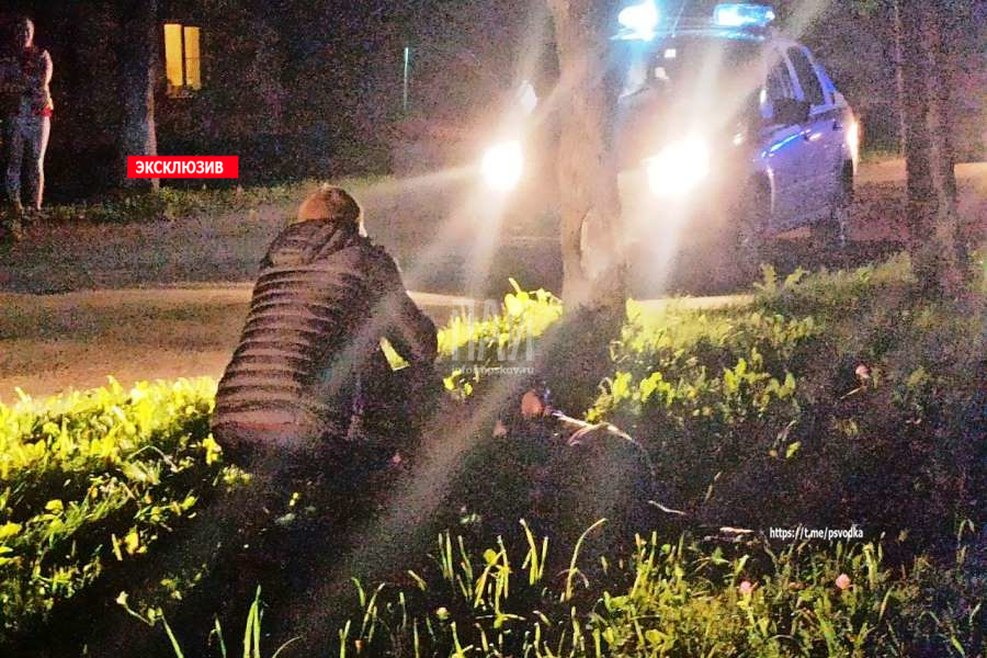 В Дно мотоциклист врезался в дерево
