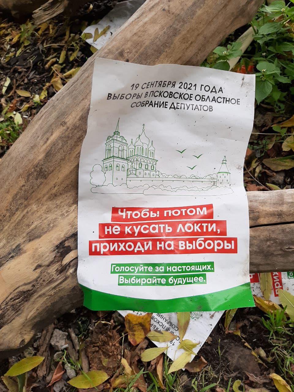 Фотофакт. Мусор у Псковского политехнического колледжа