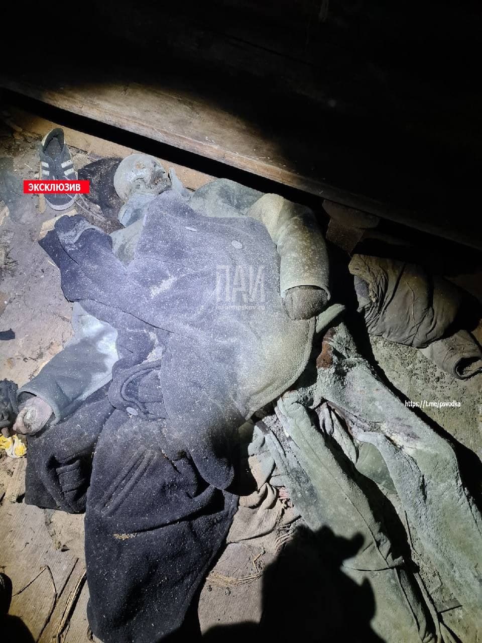 Мумифицированный труп в Плюсском районе 