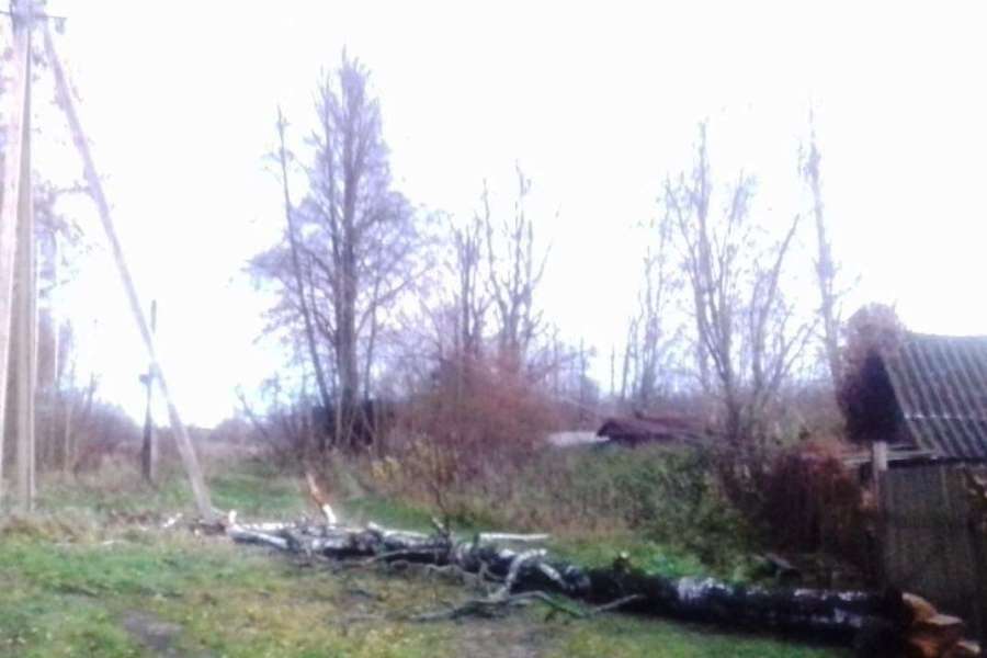 Энергетики восстанавливают подачу электричества в Заплюсье