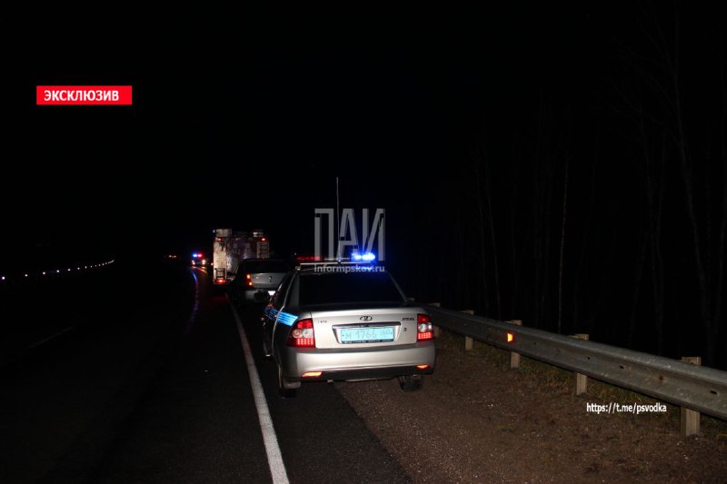 Двое мужчин погибли в ДТП в Пустошкинском районе.