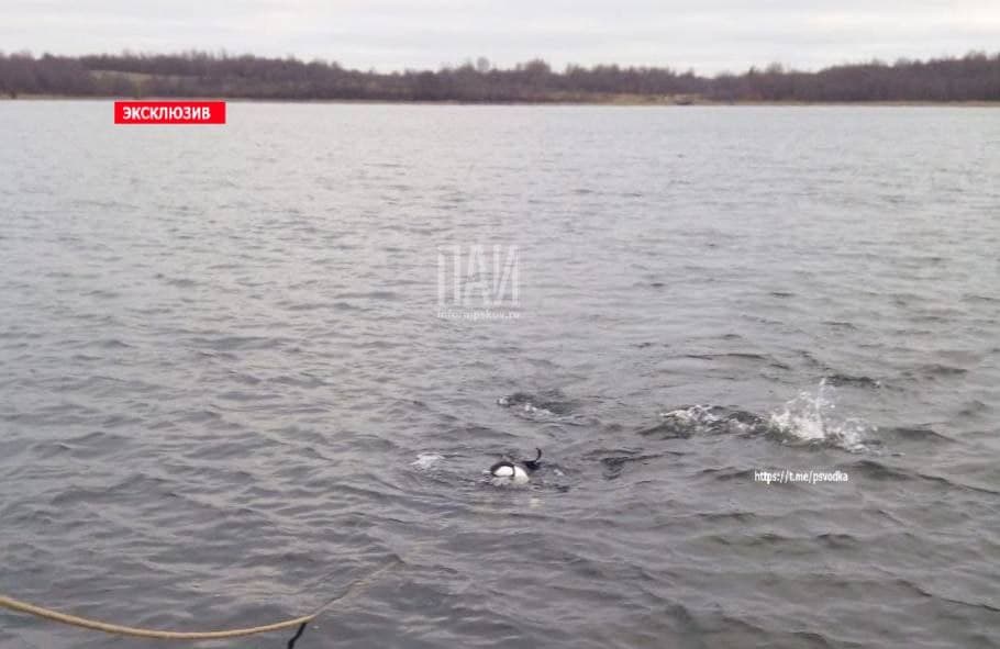 Водолазы ищут тело пропавшего мужчины