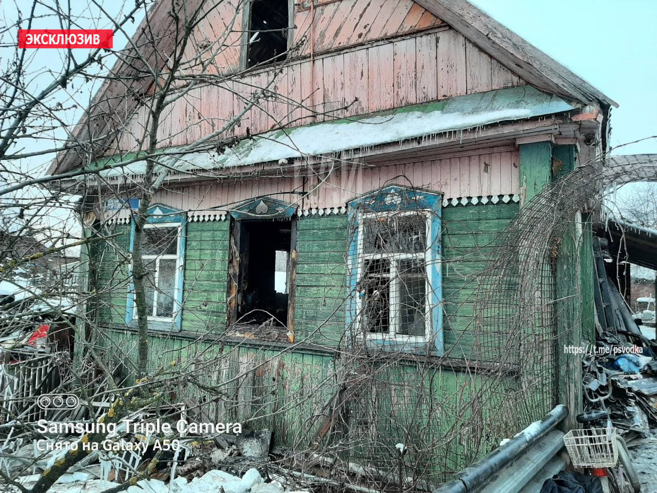 50 кошек погибли при пожаре в приюте для животных в Великих Луках