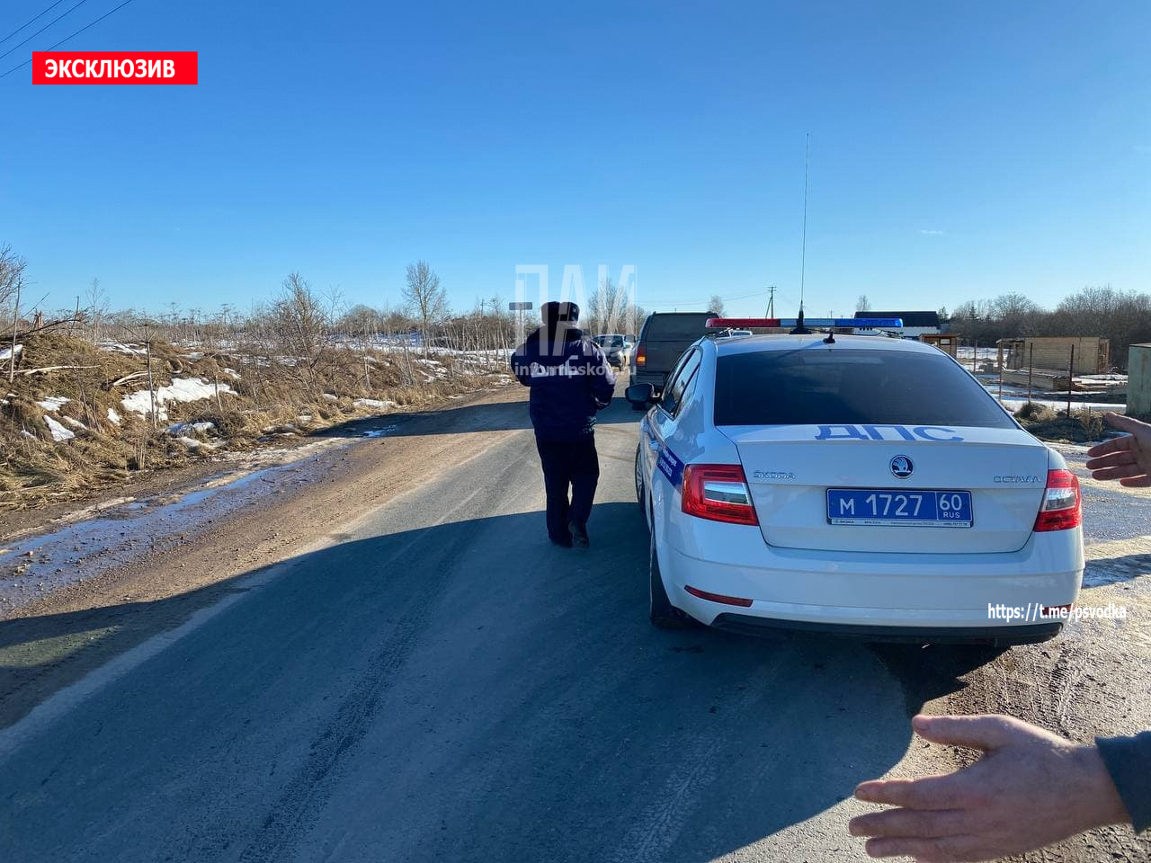 Восьмилетняя девочка угодила под машину в Псковском районе