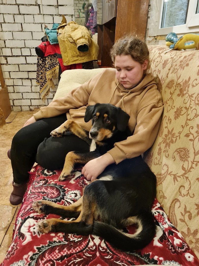 Джокер