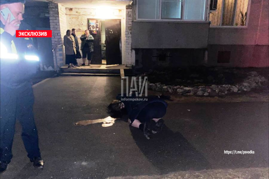 В Пскове из окна девятого этажа выпала девушка
