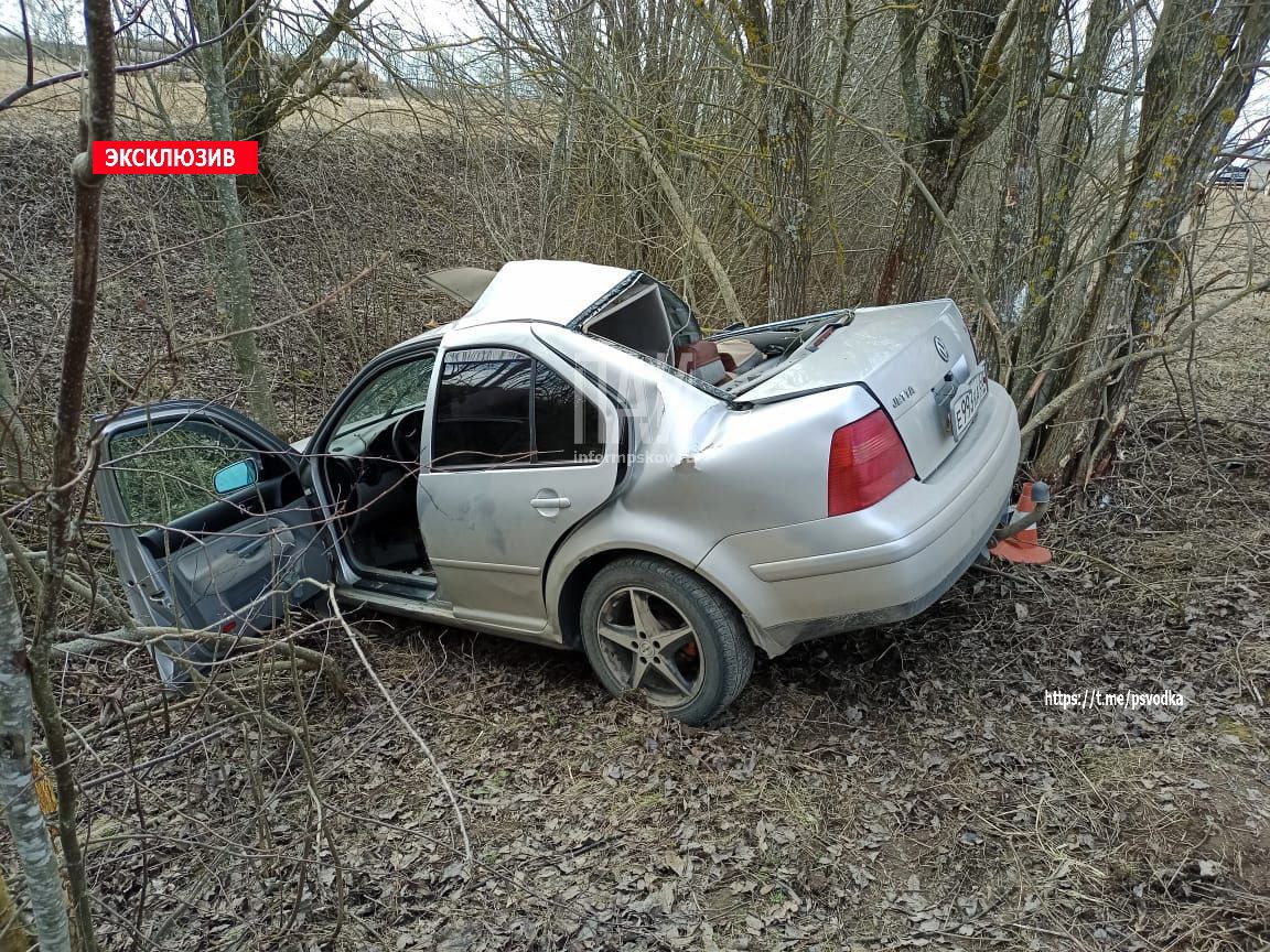 Два человека пострадали в Великолукском районе 