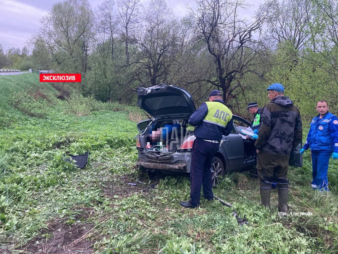 Мужчина погиб после наезда легкового автомобиля на дерево в Невельском районе