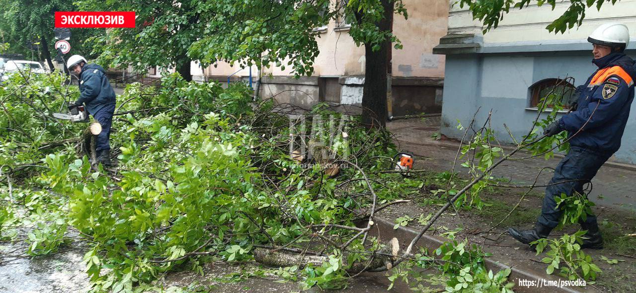Спасатели и УГХ устраняют последствия урагана в Пскове