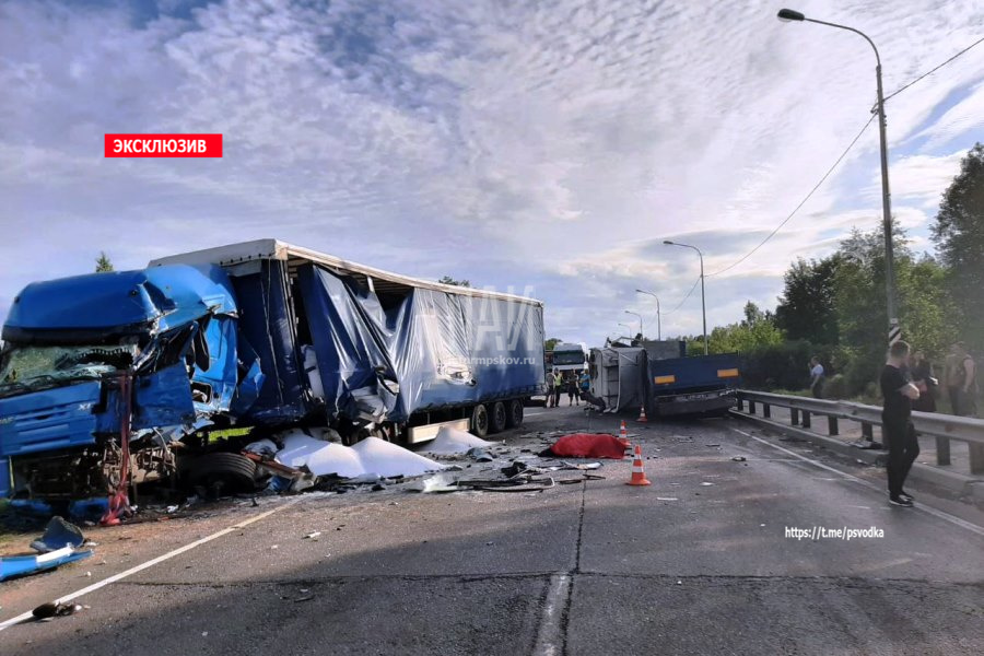 В Стругокрасненском районе произошло смертельное ДТП: лобовое столкновение двух большегрузов