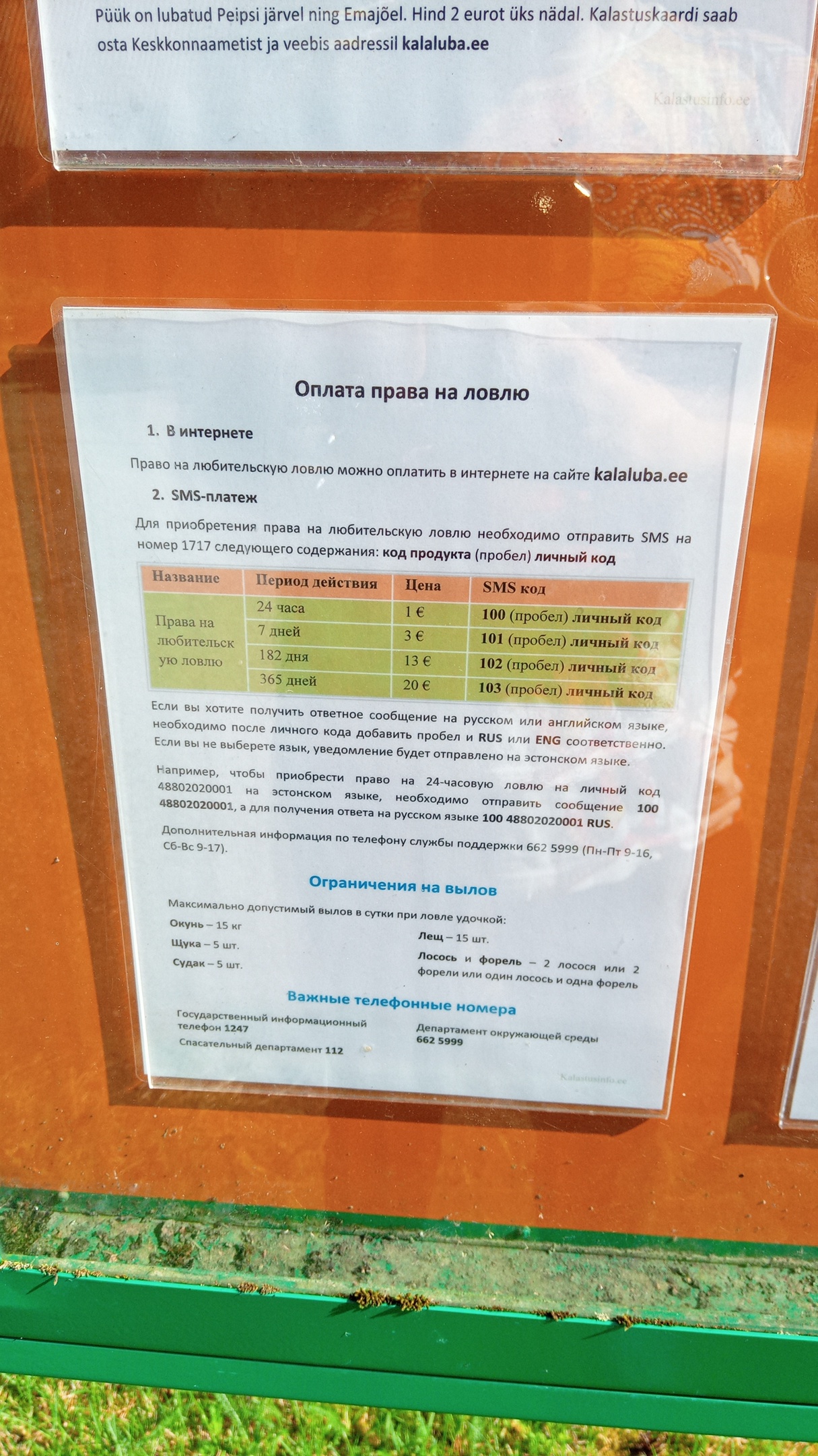 Псковичи стали в два раза реже ездить на рыбалку на Чудское озеро