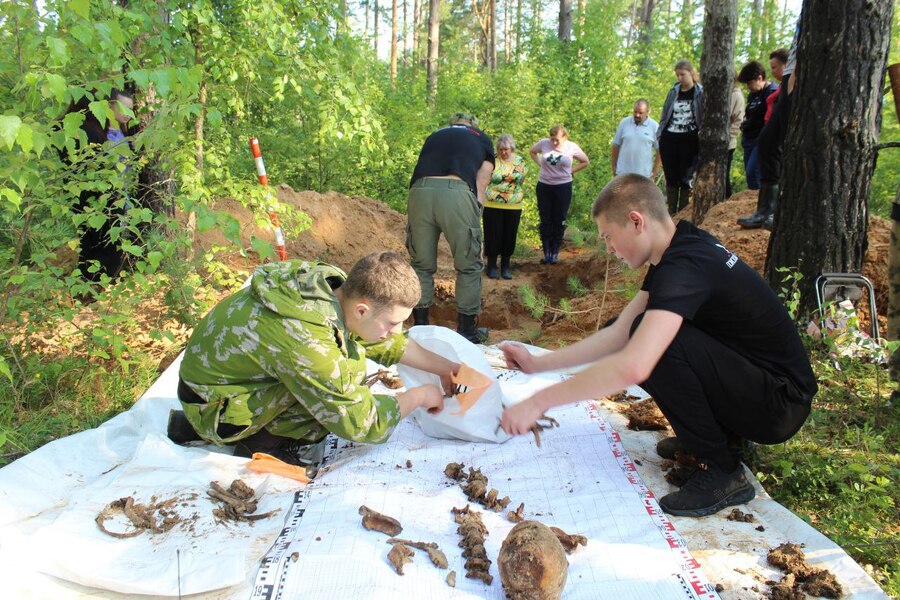 Останки 11 бойцов Красной Армии обнаружили поисковики в Красногородском районе 